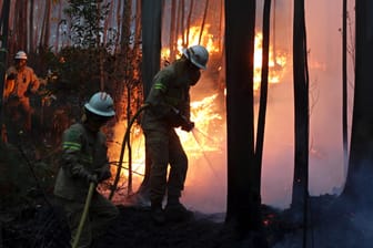 Feuerwehrleute der Republikanische Nationalgarde versuchen in Avelar einen Waldbrand zu löschen.