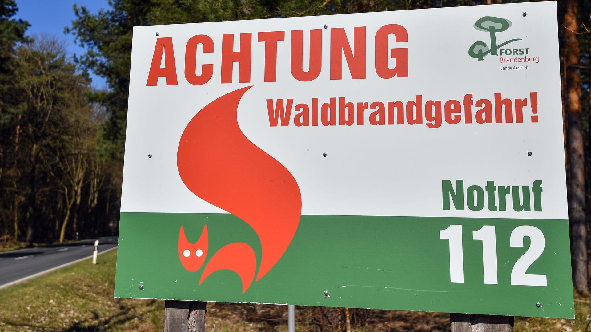 Waldbrandgefahr wegen trockenen Wetters