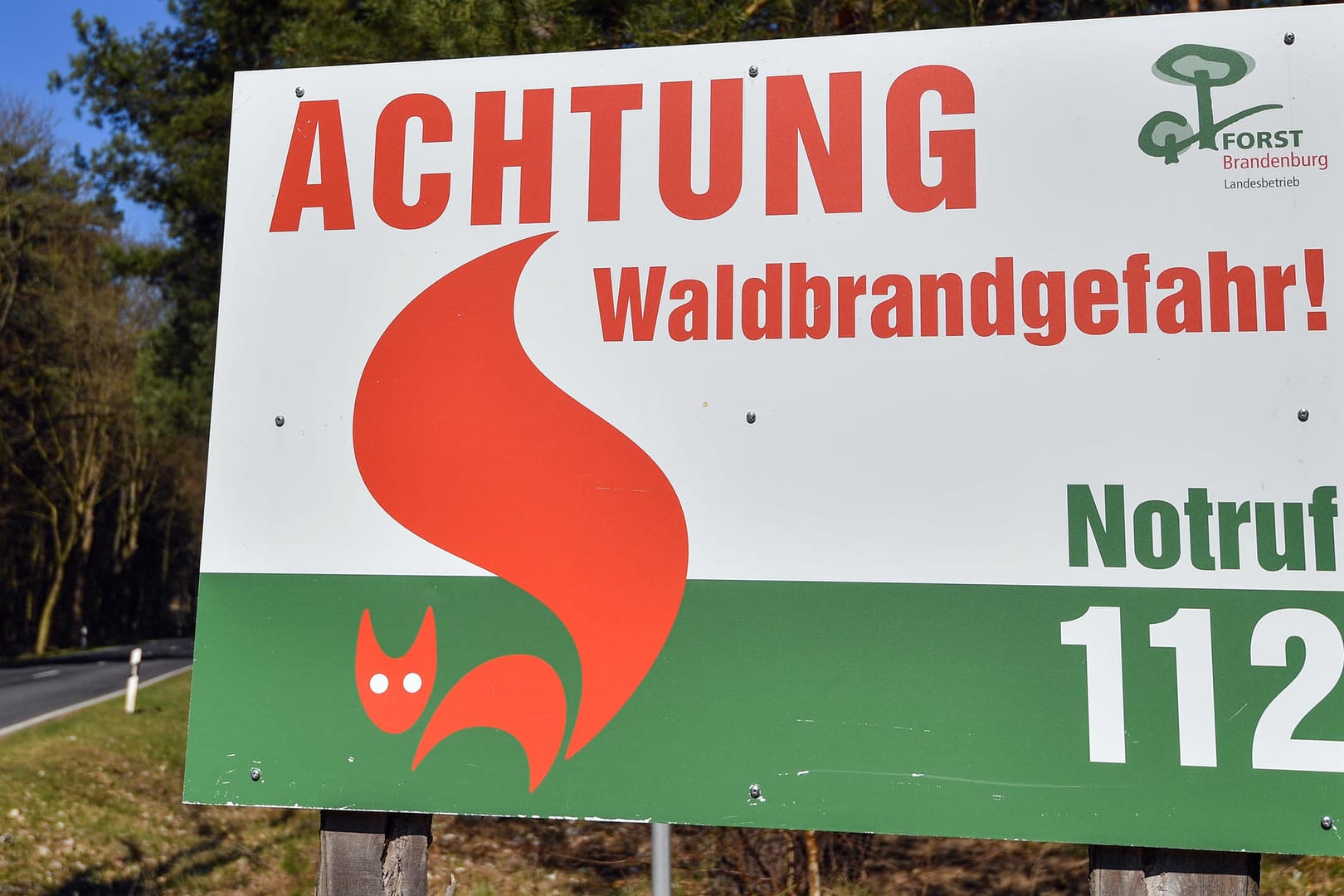 Waldbrandgefahr wegen trockenen Wetters