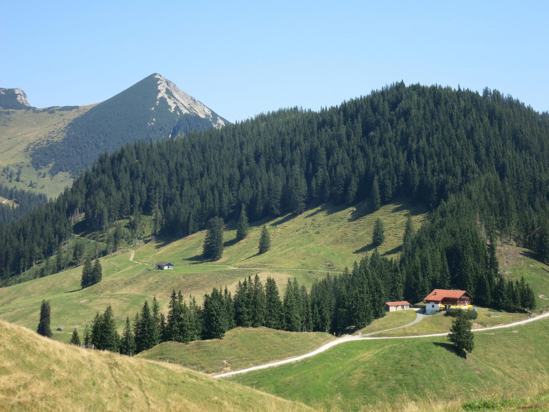 Der Geigelstein ist mit 1808 Meter über Normalhöhennull der zweithöchste Gipfel im bayerischen Teil der Chiemgauer Alpen.