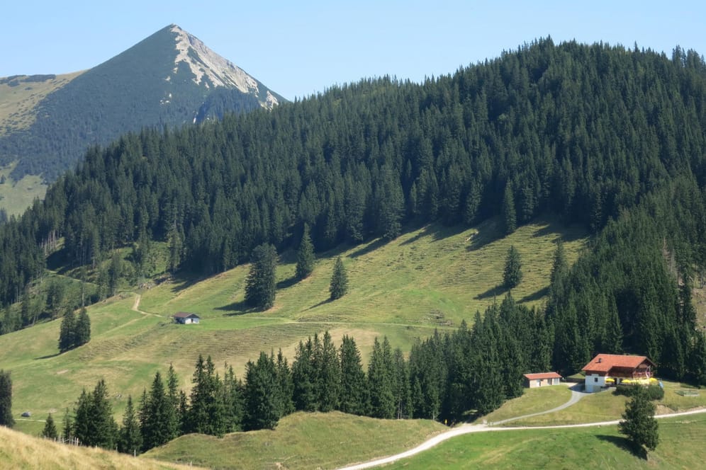 Der Geigelstein ist mit 1808 Meter über Normalhöhennull der zweithöchste Gipfel im bayerischen Teil der Chiemgauer Alpen.