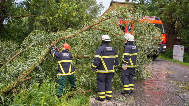 Feuerwehrleute zersägen einen umgestürzten Baum in Hamburg-Ochsenwerder.