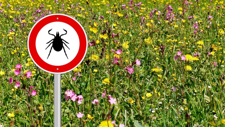 tick sign in flower meadow