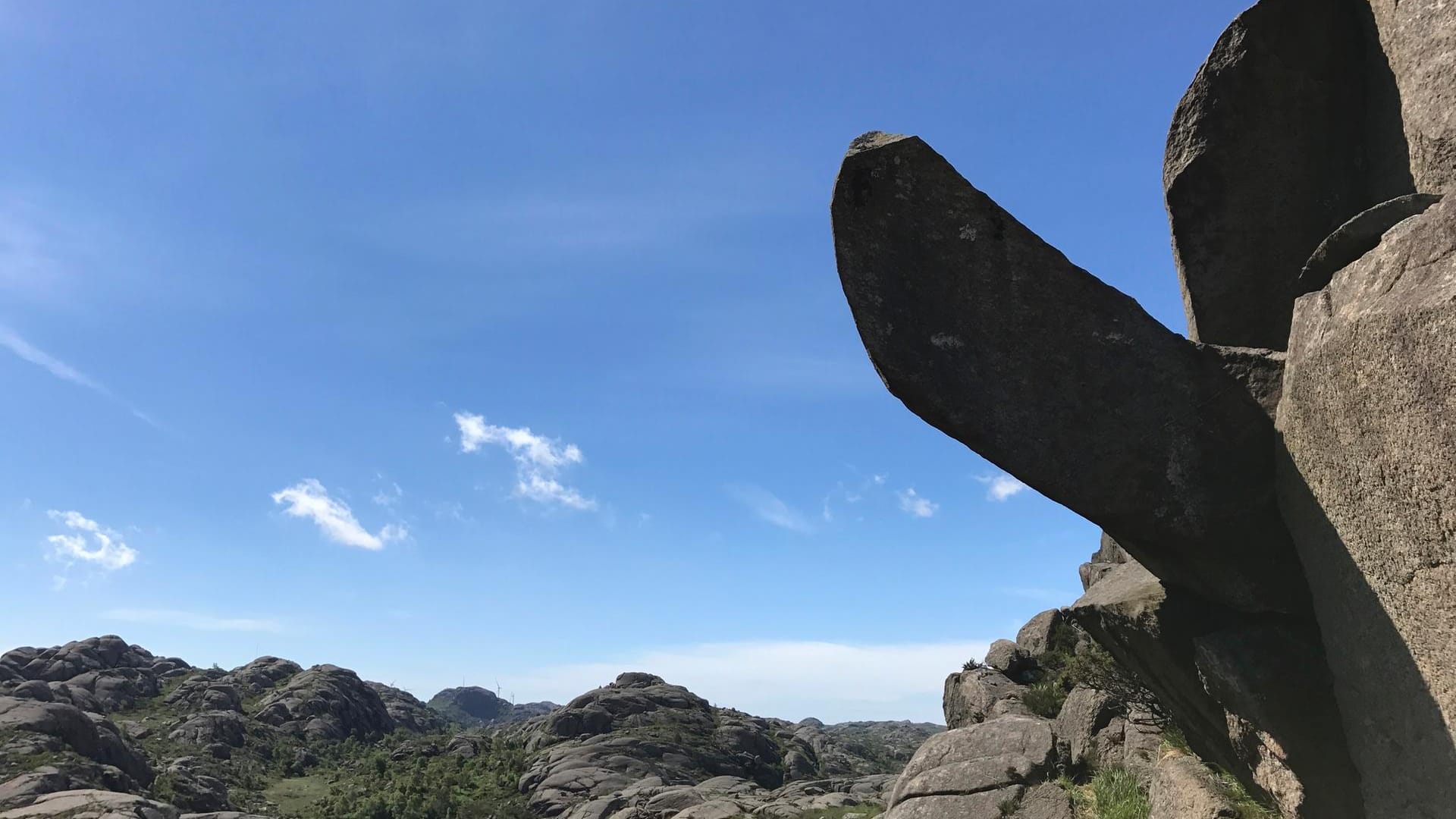 Vandalen hacken "Trollpenis" in Norwegen ab Vandalen hacken "Trollpenis" in Norwegen ab
