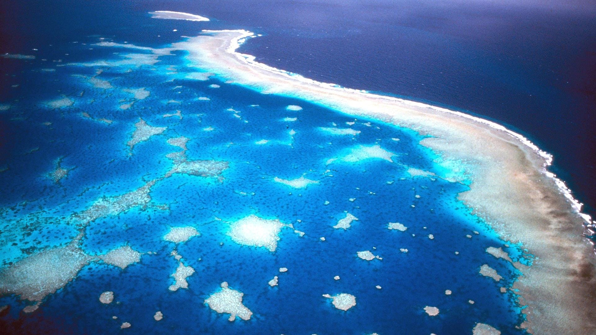 Great Barrier Reef