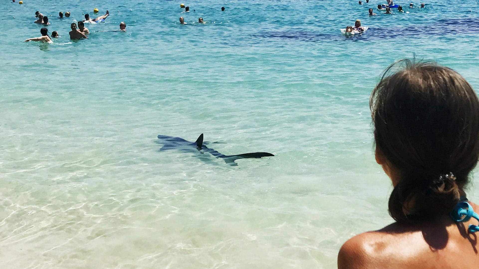 Ein Hai schwimmt in Palma de Mallorca am Illetes Strand.