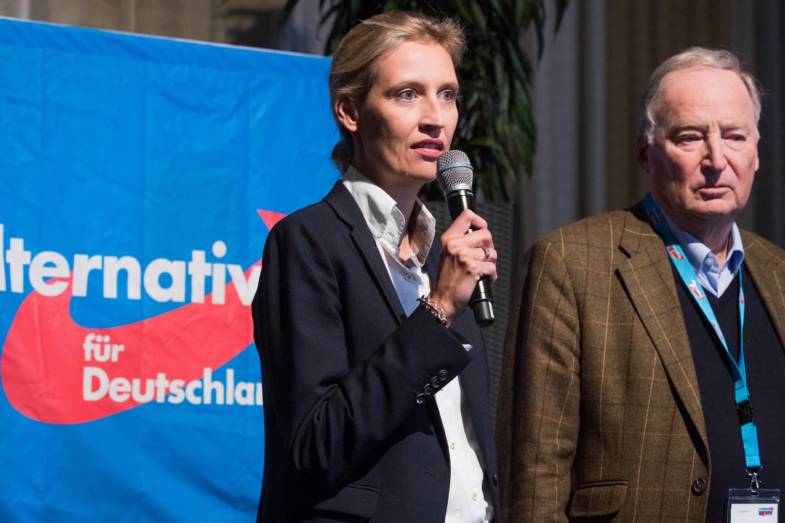 Die AfD-Spitzenkandidaten Alice Weidel und Alexander Gauland.