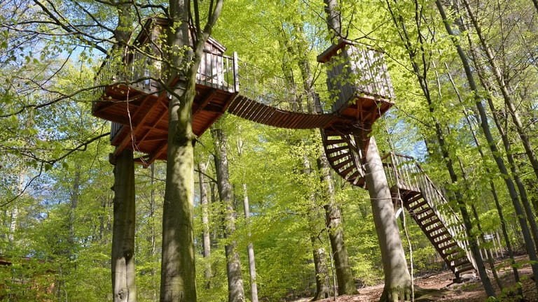 Baumhaushotel Solling: Hinauf kommt man über eine Wendeltreppe und eine Hängebrücke.