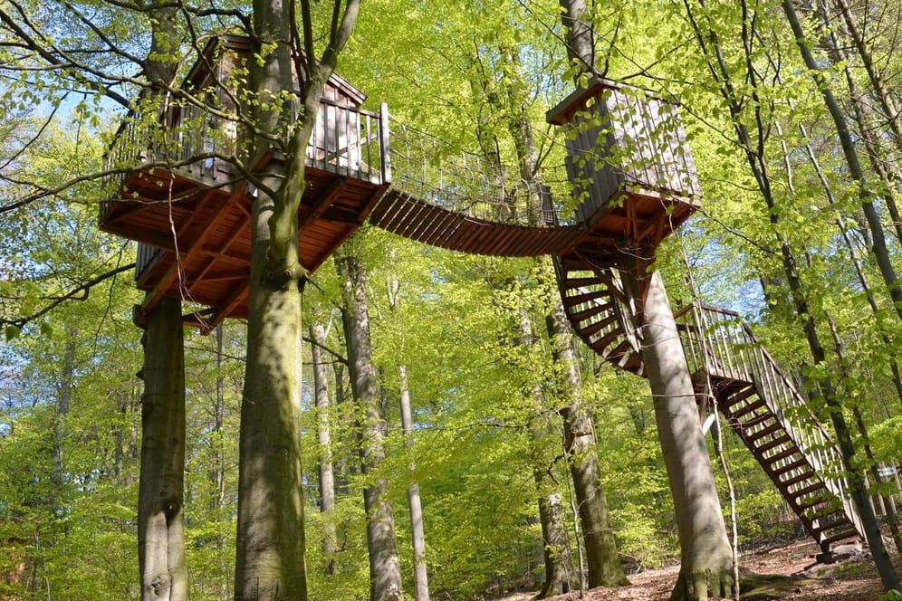 Baumhaushotel Solling: Hinauf kommt man über eine Wendeltreppe und eine Hängebrücke.