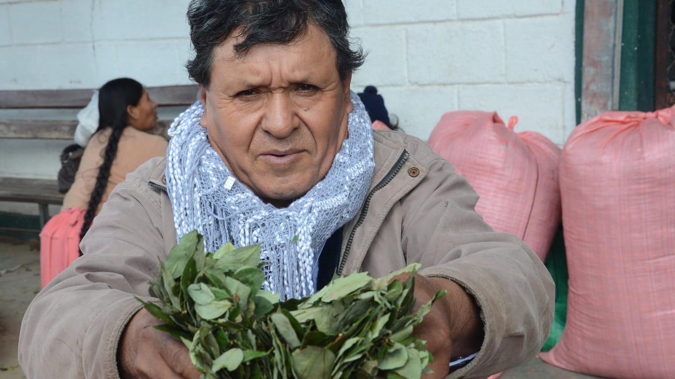 Der Kokabauer Sinforoso Ladesma zeigt auf dem Kokamarkt im bolivianischen Sacaba seine Ernte.