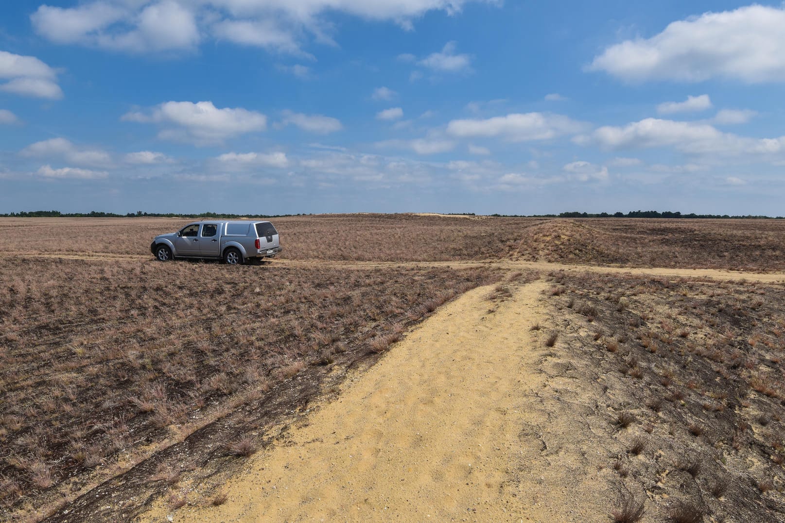 Die Lieberoser Heide in Brandenburg mutet wie eine kleine Wüste an.