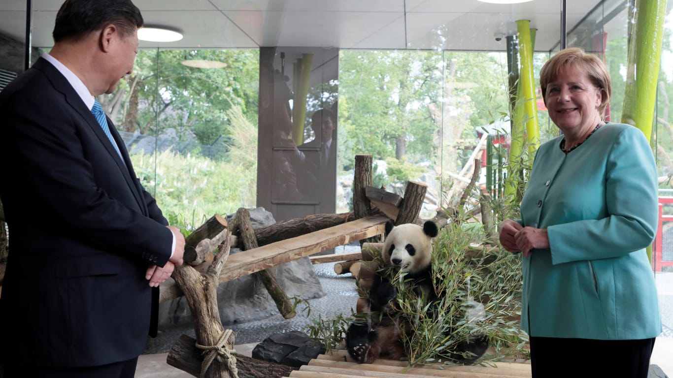 Bundeskanzlerin Angela Merkel (CDU) begrüßt zusammen mit Chinas Staatspräsident Xi Jinping die beiden neuen Riesenpandas im Berliner Zoo.