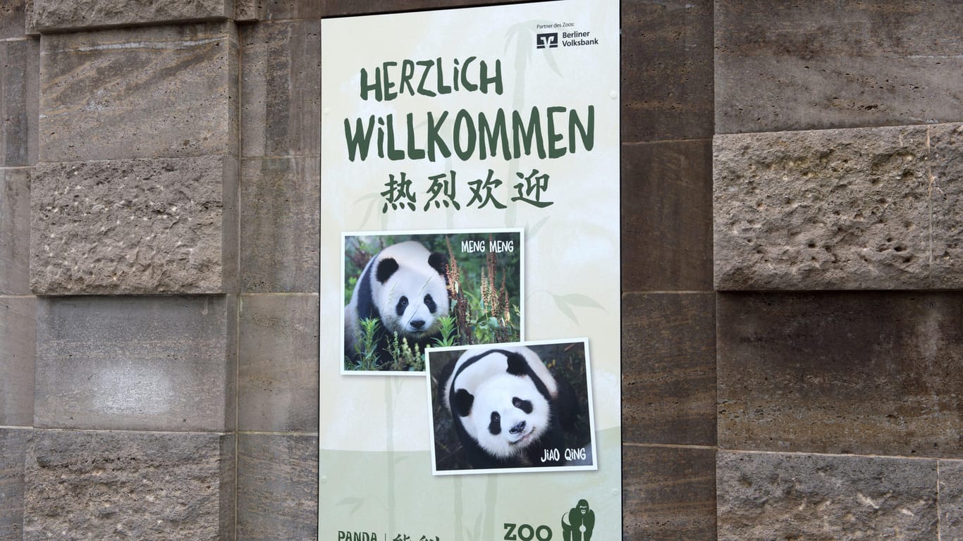 Berlin heißt die Pandas willkommen.