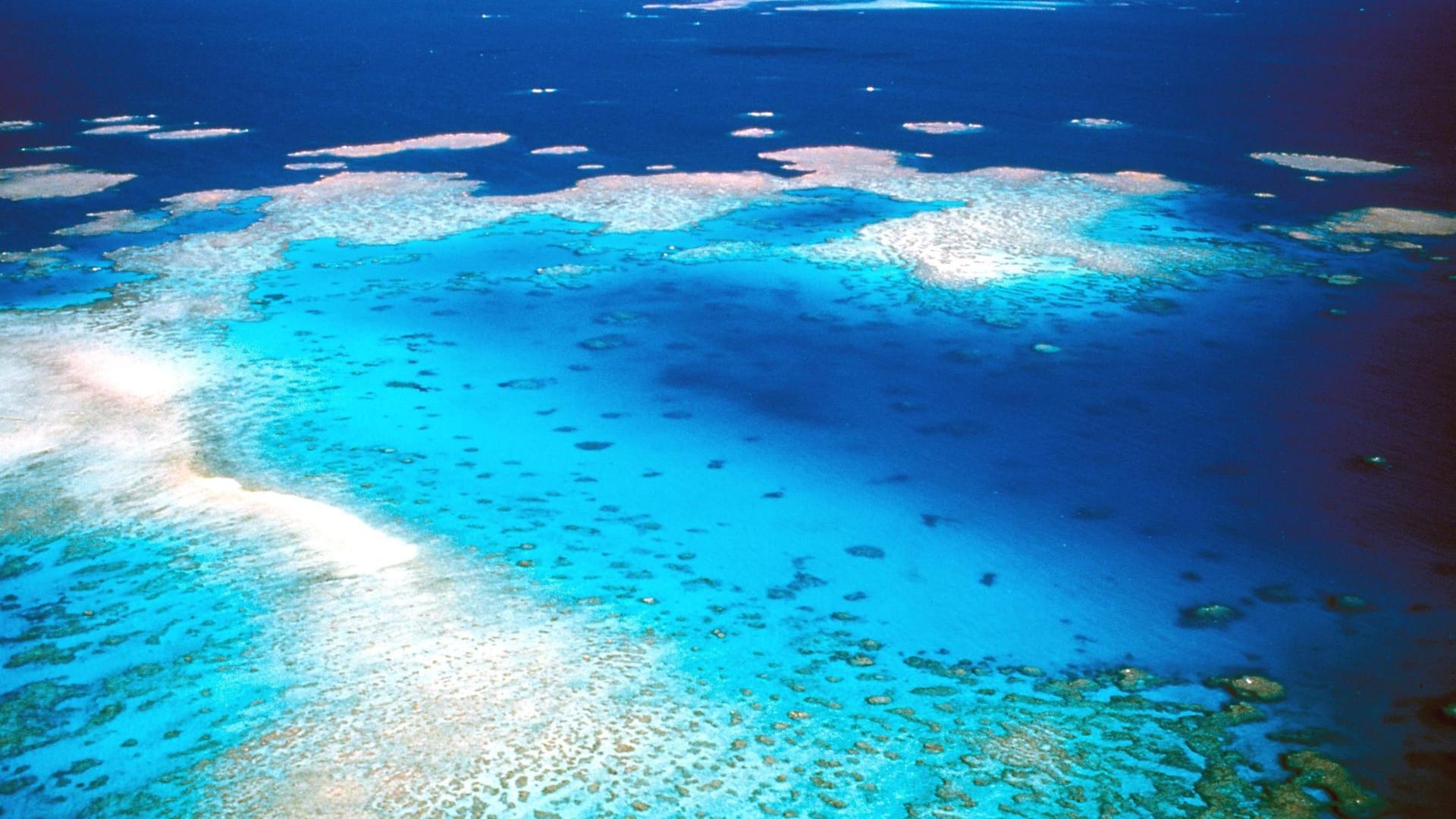 Das Great Barrier Reef in Australien kommt vorerst nicht auf die Rote Liste des gefährdeten Welterbes.