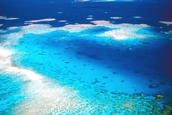 Das Great Barrier Reef in Australien kommt vorerst nicht auf die Rote Liste des gefährdeten Welterbes.