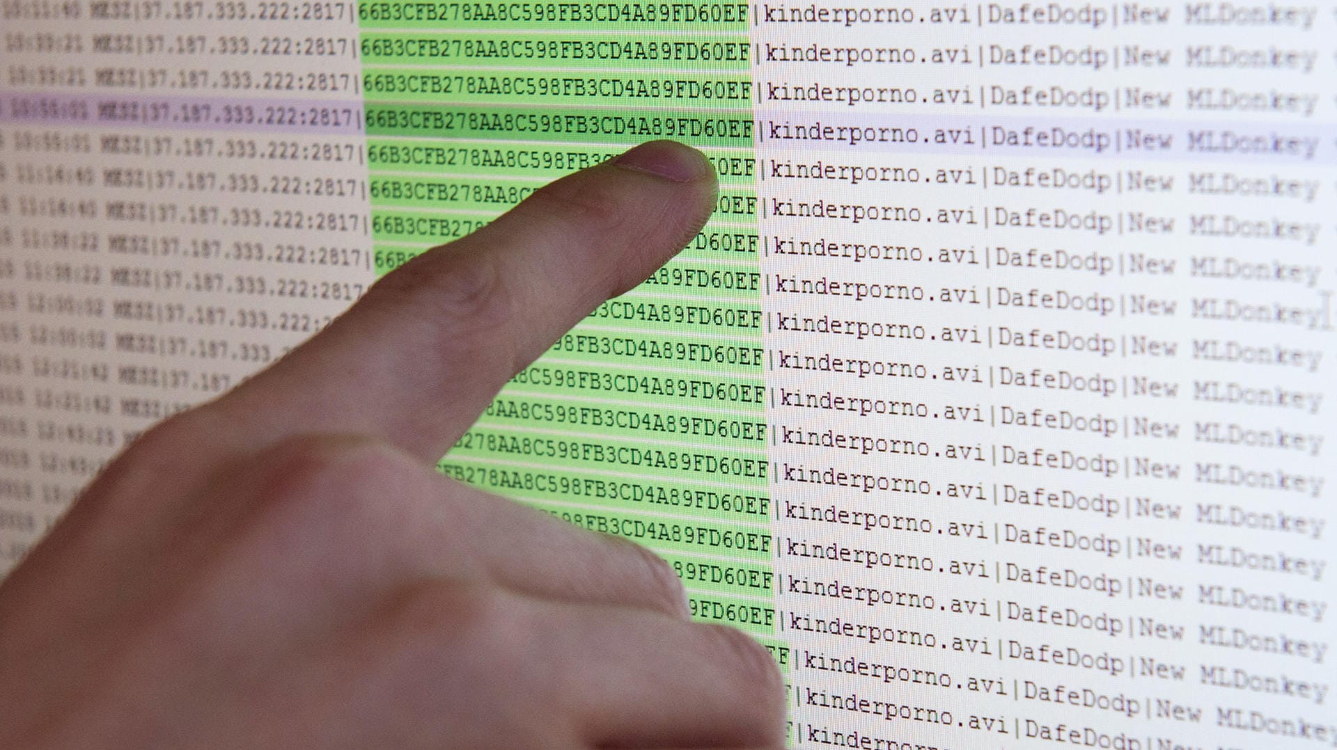 Ermittler haben beim europaweit größten Schlag gegen Kinderpornografie im Internet insgesamt 14 Verdächtige festgenommen. Ermittler haben beim europaweit größten Schlag gegen Kinderpornografie im Internet insgesamt 14 Verdächtige festgenommen.