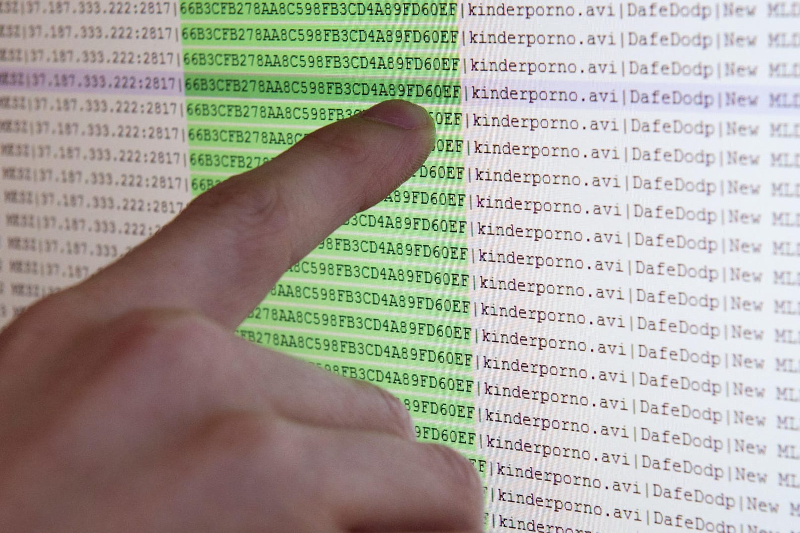 Ermittler haben beim europaweit größten Schlag gegen Kinderpornografie im Internet insgesamt 14 Verdächtige festgenommen.