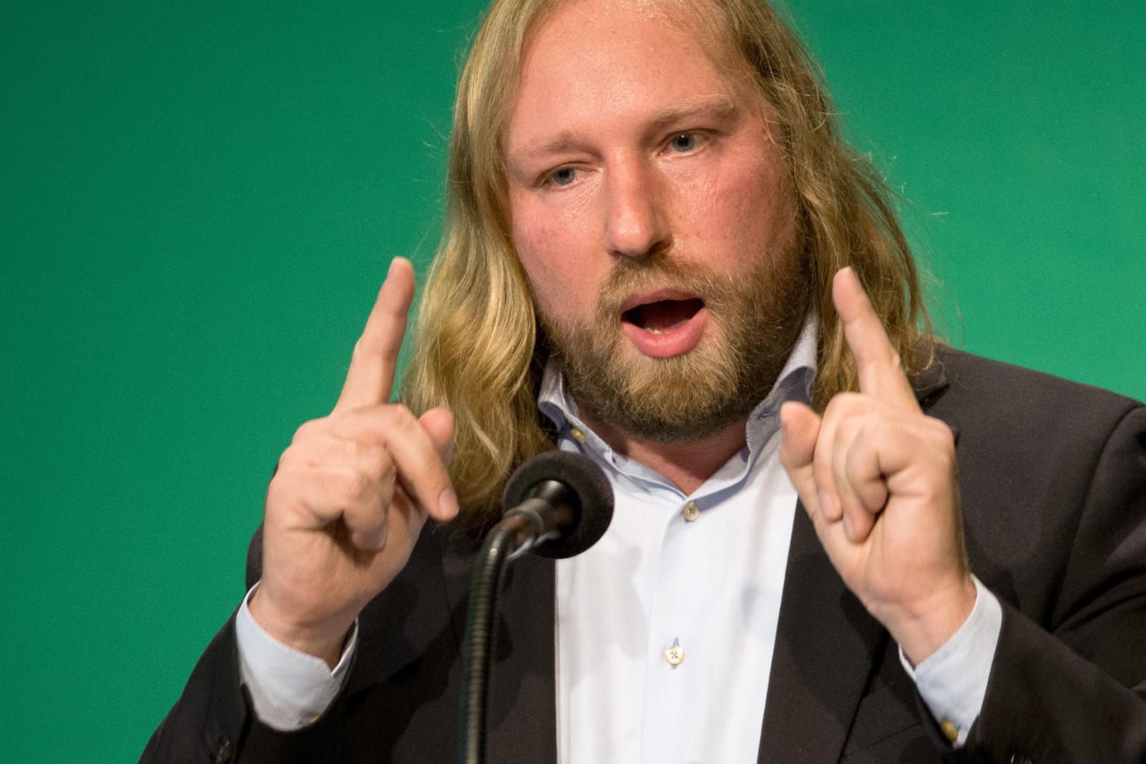Anton Hofreiter (Grüne)
