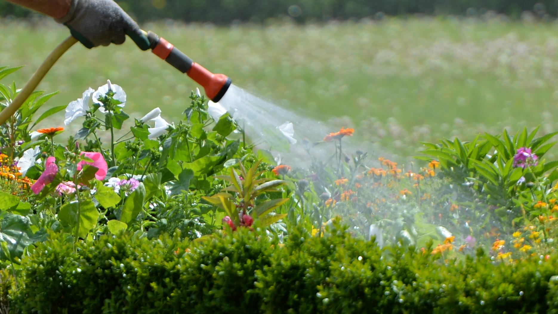 Klemm- und Quetschgefahr: Gartenbrausen und -spritzen im Test