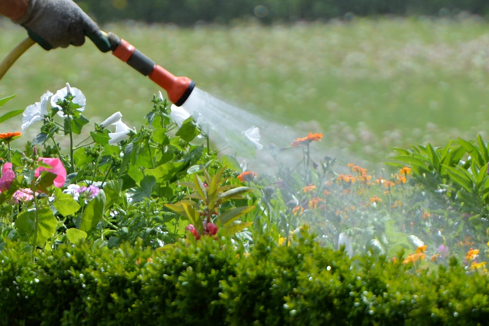 Klemm- und Quetschgefahr: Gartenbrausen und -spritzen im Test