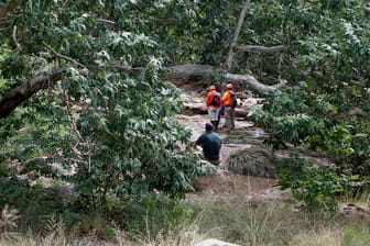 Rettungskräfte suchten in der Nähe der Water Wheel Campinganlage im Tonto National Forrest in Arizona (USA) nach vermissten Schwimmern.