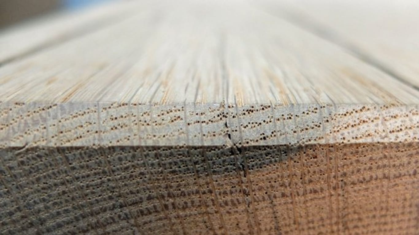 Ein auffälliges Muster weist zum Beispiel das Holz der Eiche an der Stirnseite auf.