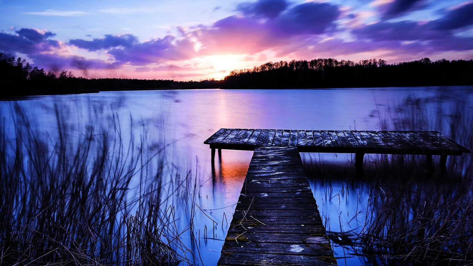 Die besondere Landschaft der Lüneburger Heide diente vielen Dichtern als Inspiration.