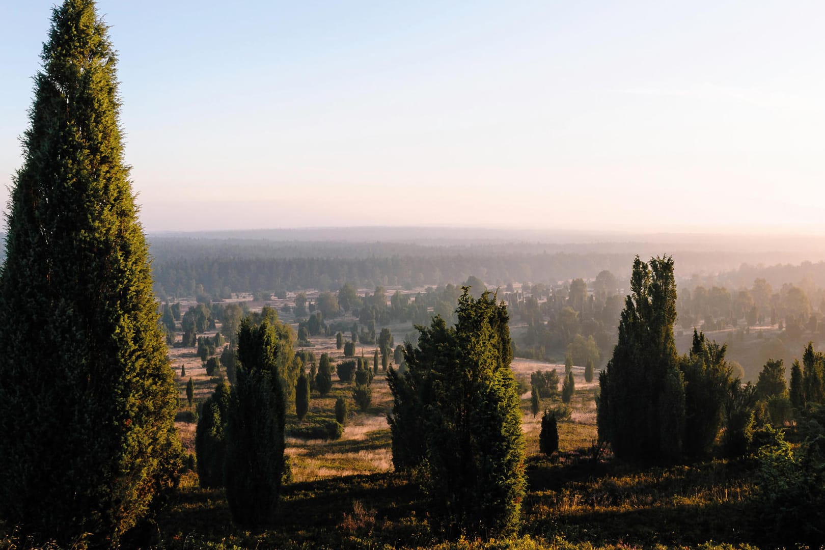 Die höchste Erhebung misst gerade mal 169 Meter: Der Wilseder Berg, auch "Heide-Himalaya" genannt, bietet trotzdem einen wunderbaren Aussichtspunkt.