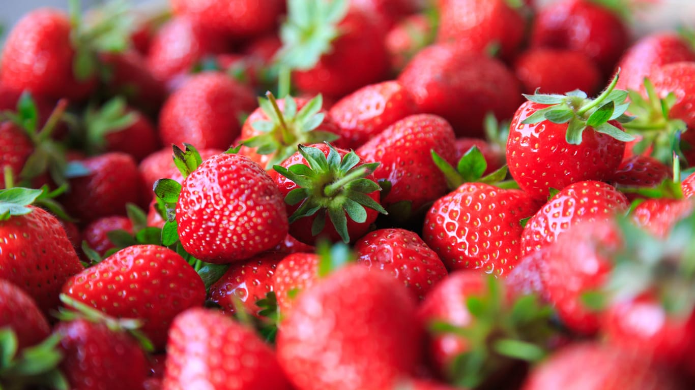 Frische Erdbeeren waren dieses Jahr teuer. (Symbolbild)