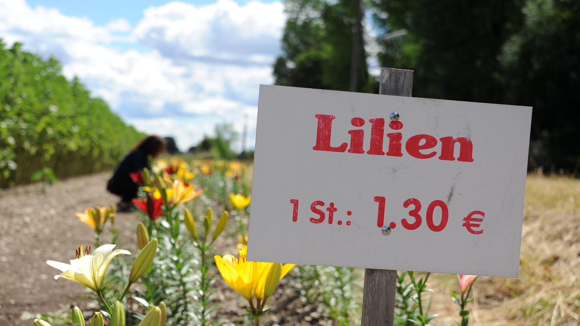 Blumen zum Selberpflücken