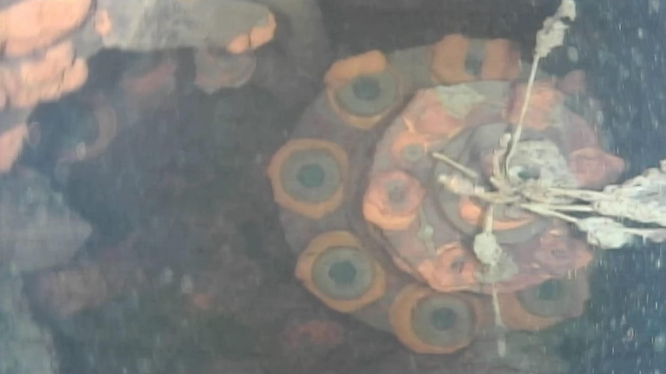 Das von einem Unterwasserroboter aufgenommene Foto zeigt einen Teil des mit Kühlwasser gefluteten Sicherheitsbehälters des Reaktors 3.