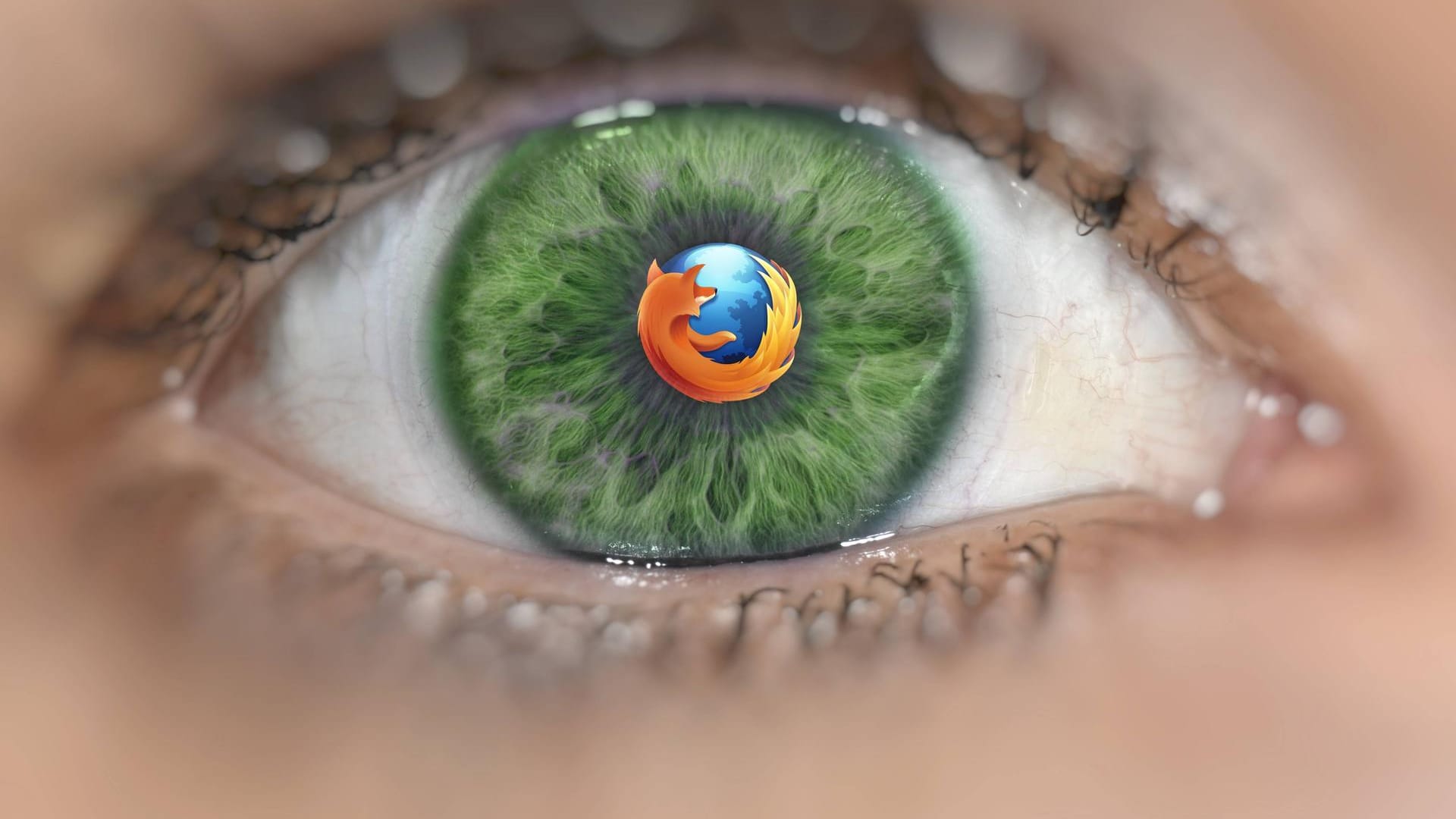 Die Firefox-App kann jetzt lesen, unter anderem QR-Codes.