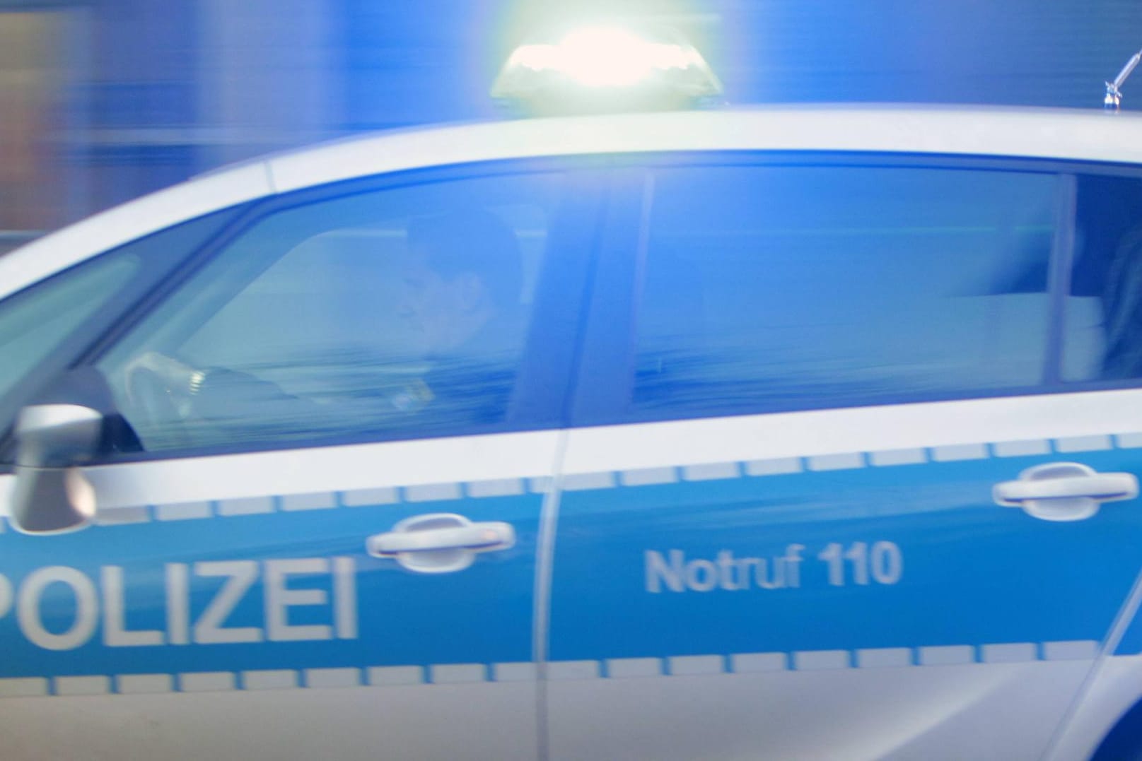 Die Polizisten konnten sich nur mit einem Warnschuss behelfen.