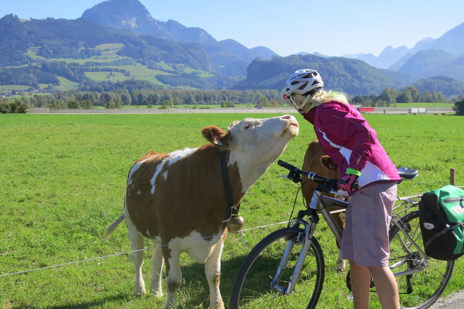 Auf dem Tauernradweg bei Kuchl die Natur ganz nah erleben.