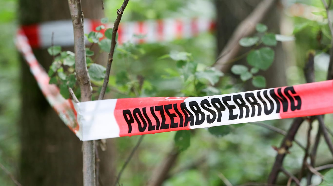 Ein Lastwagenfahrer hatte in dem Waldstück nahe dem nahe dem Rastplatz am Freitagabend einen toten Mann entdeckt. Nun bestätigte die Polizei, dass es sich um den vermissten Boxer handelt.