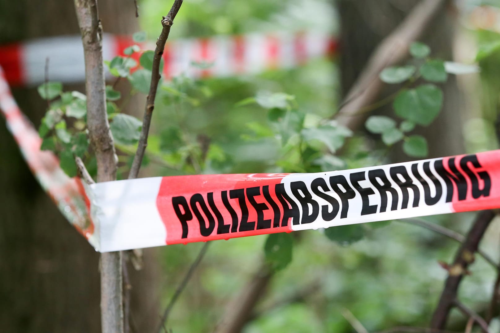 Ein Lastwagenfahrer hatte in dem Waldstück nahe dem nahe dem Rastplatz am Freitagabend einen toten Mann entdeckt. Nun bestätigte die Polizei, dass es sich um den vermissten Boxer handelt.
