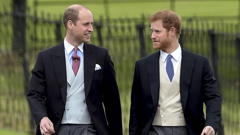 Prinz William und Prinz Harry haben ihre Mutter schon sehr früh verloren.