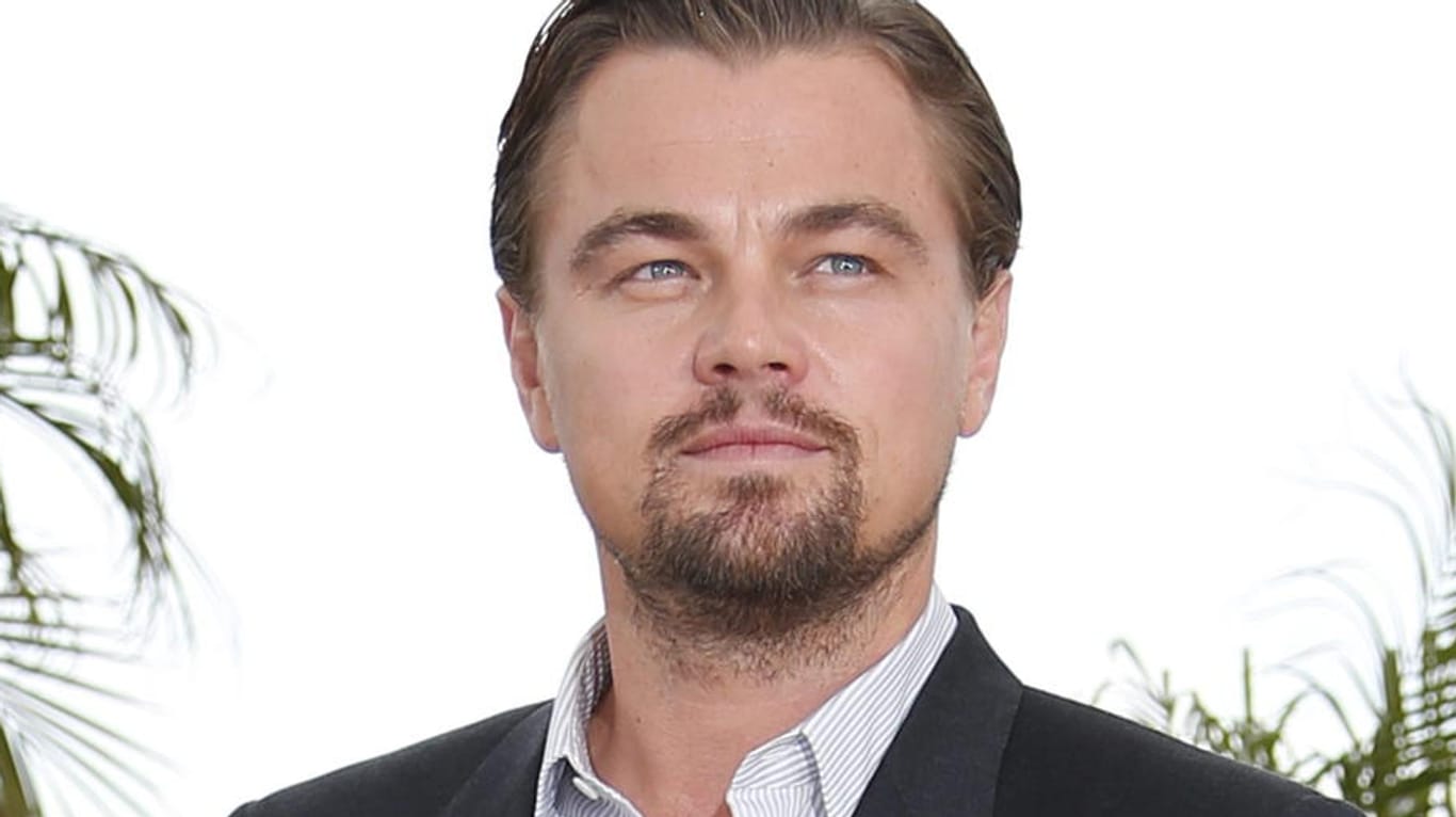 Leonardo DiCaprio kann bald für einen Abend ersteigert werden.