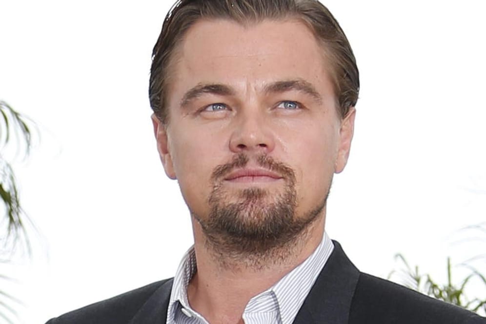 Leonardo DiCaprio kann bald für einen Abend ersteigert werden.
