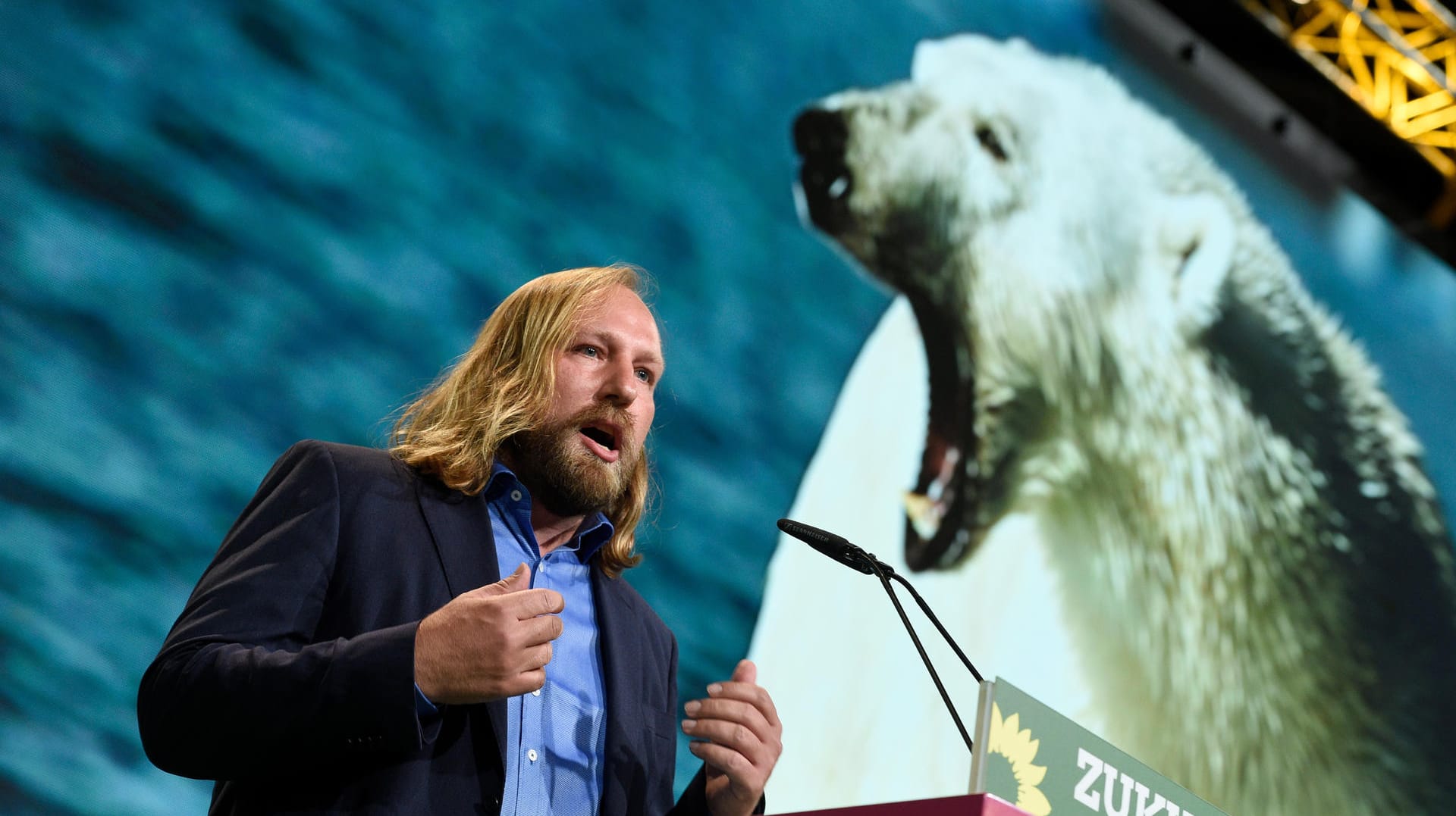 Anton Hofreiter beim Grünen-Bundesparteitag in Berlin.