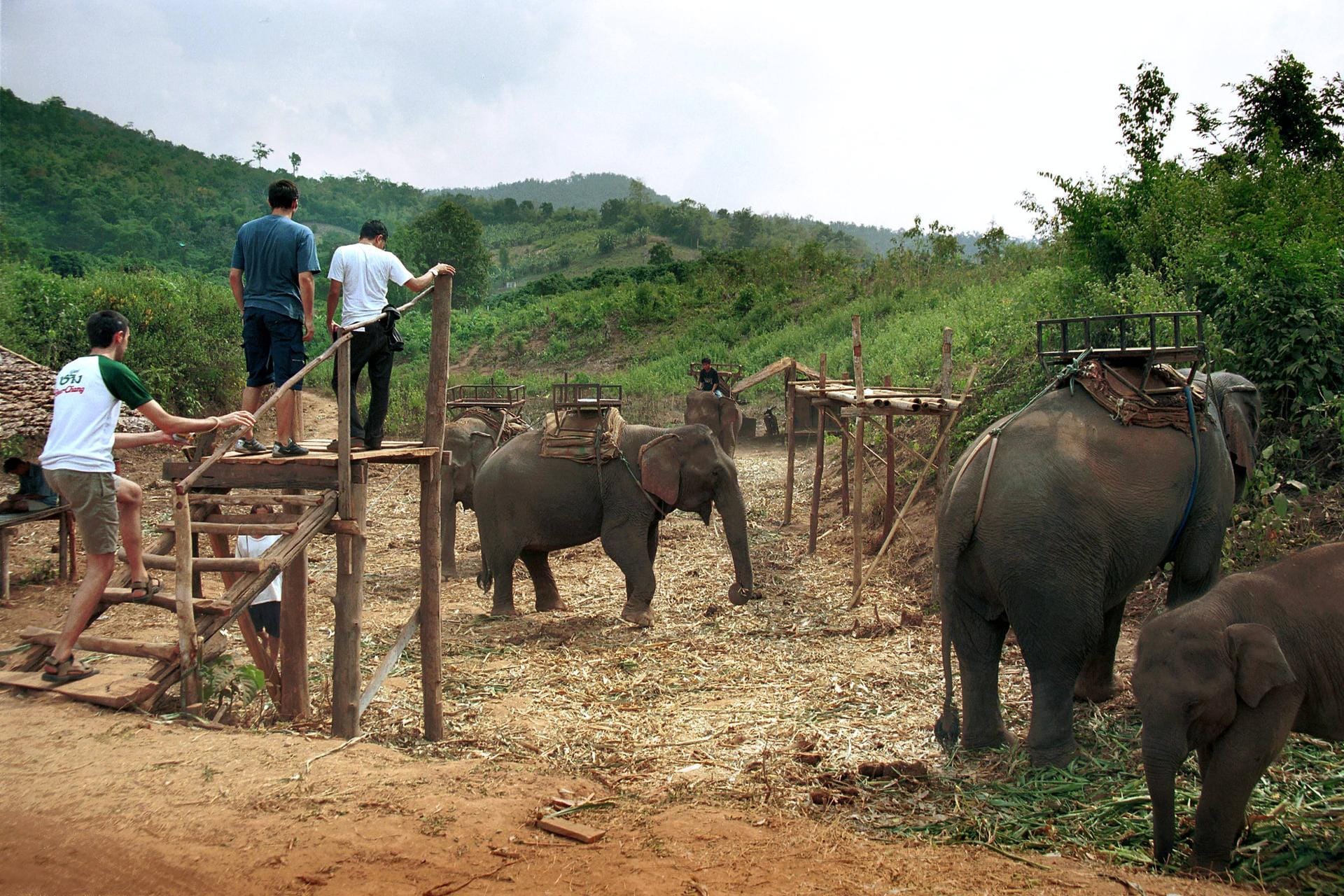 Beliebte Touristenattraktion: Elefantenreiten in Thailand.