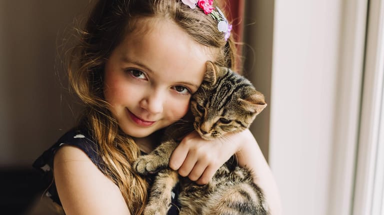 Ein Kind hält eine Katze auf dem Arm: Jede Katze hat einen eigenen Charakter. Einige lieben es auf den Arm genommen zu werden, andere brauchen mehr Ruhe.