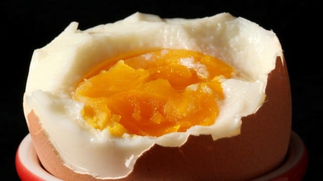 Insektengift in Eiern: Die Anwendung von Fipronil bei Tieren, die Lebensmittel liefern, ist in der EU verboten. Insektengift in Eiern: Die Anwendung von Fipronil bei Tieren, die Lebensmittel liefern, ist in der EU verboten.