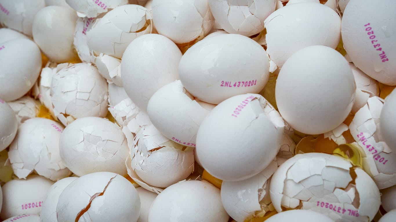 Im Auftrag der niederländischen Lebensmittelkontrollbehörde wurden am 02.08.2017 rund eine Million mit dem Insektizid Fipronil verseuchte Eier zerstört.