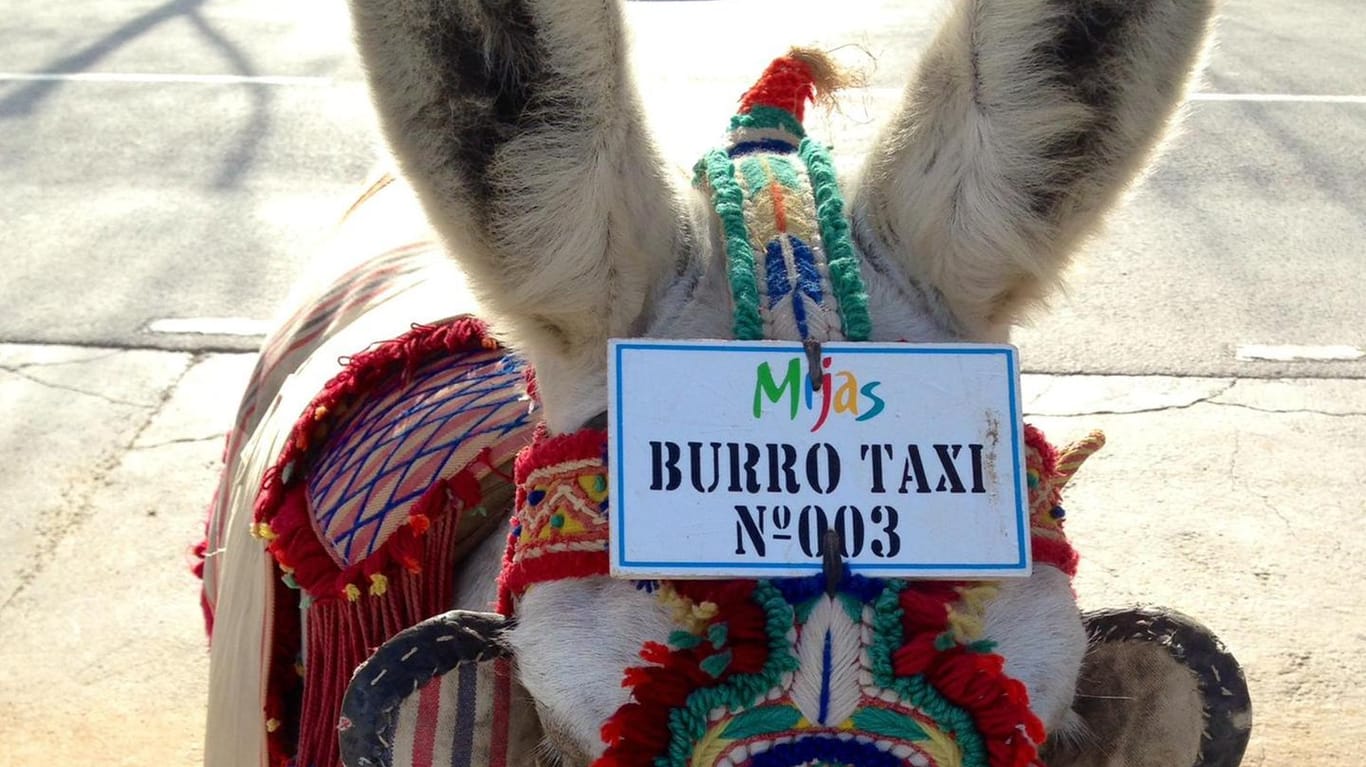 Burro-Taxis sind in Mijas eine der Hauptattraktionen.