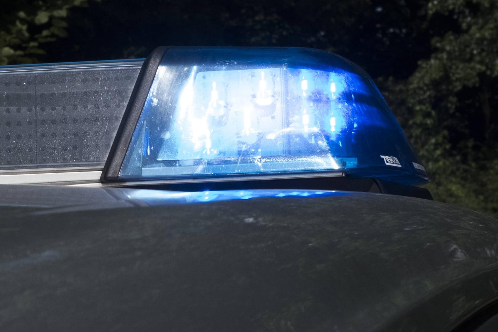Die Polizei rückte mit mehreren Einsatzwagen aus, um die Schlägerei auf dem Sommerfest der Kleintierzüchter zu stoppen.