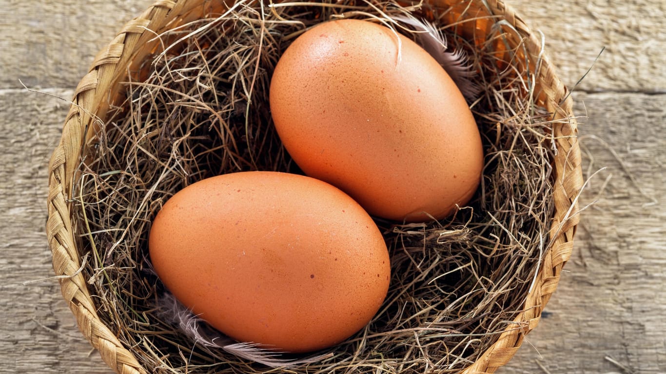 Zwei Eier in einem Korb