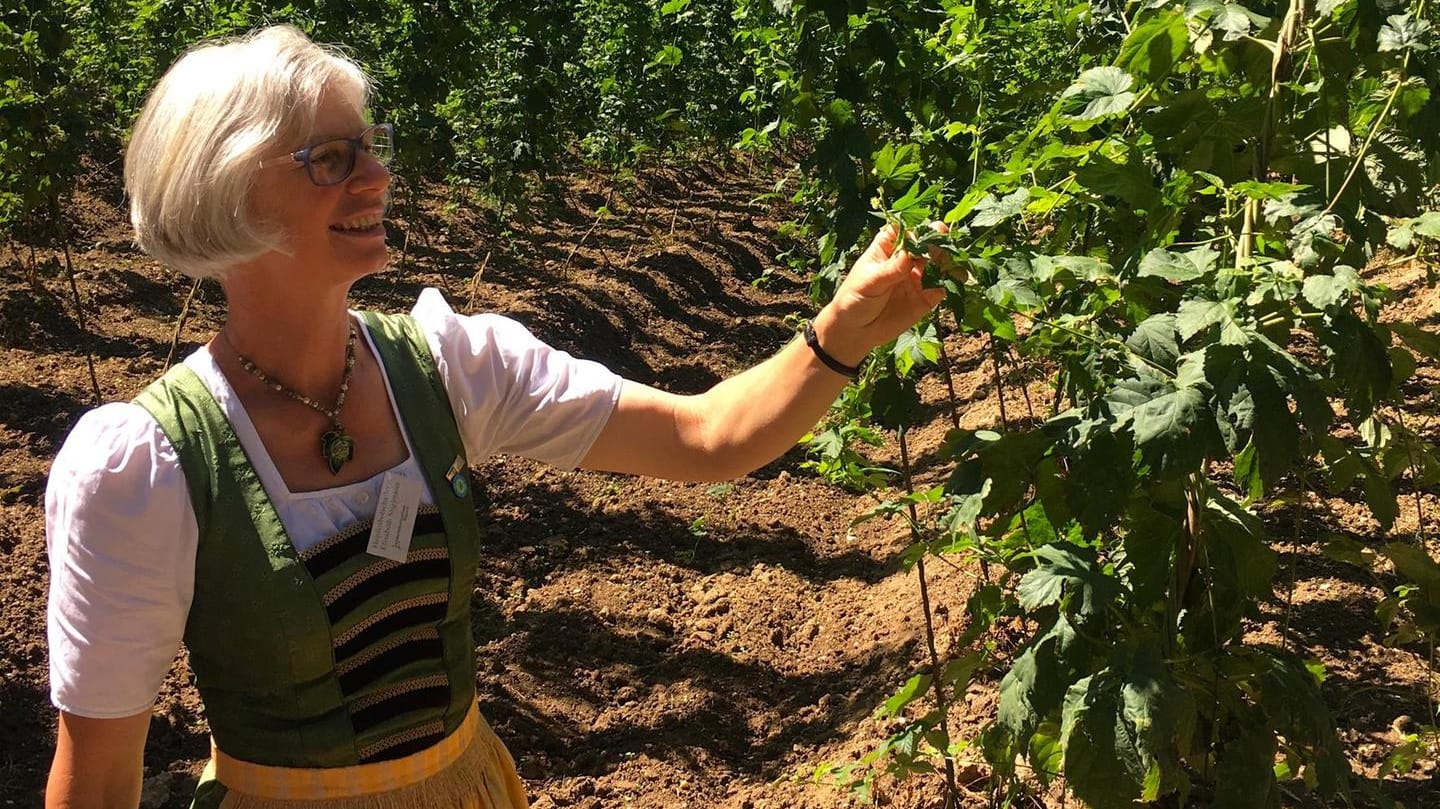 Die Hopfen-Botschafterin Elisabeth Stiglmaier bei einer Tour durchs Anbaugebiet.