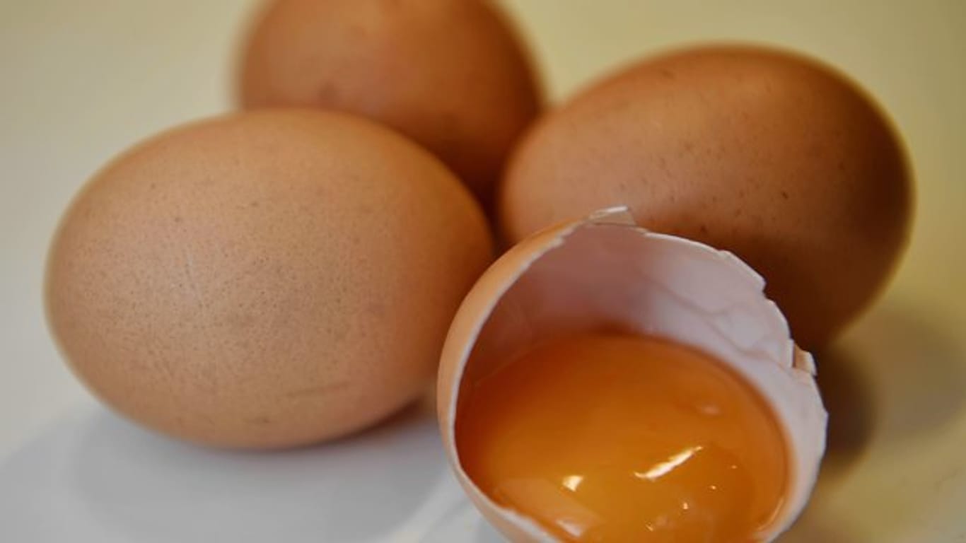 Zwischen Belgien und den Niederlanden ist ein Streit über den Zeitpunkt entfacht, zu dem die niederländischen Behörden Kenntnis über mit Fipronil belastete Eier hatten.