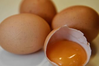 Zwischen Belgien und den Niederlanden ist ein Streit über den Zeitpunkt entfacht, zu dem die niederländischen Behörden Kenntnis über mit Fipronil belastete Eier hatten.